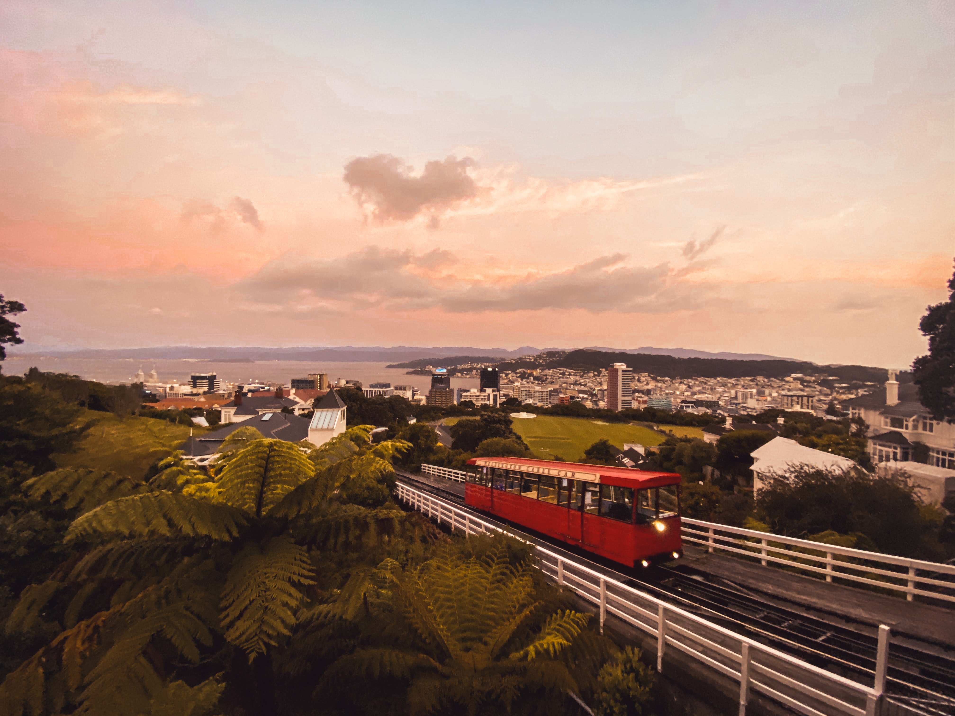 CBD and legal supply into New Zealand